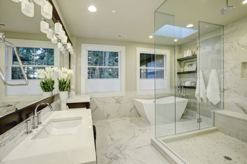 Shower Remodeling in Vassar, MI